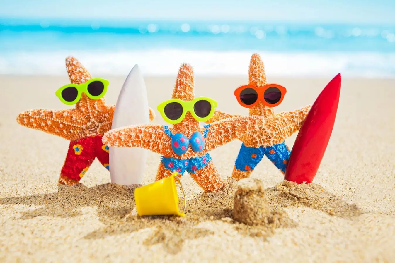 Surfing Starfish