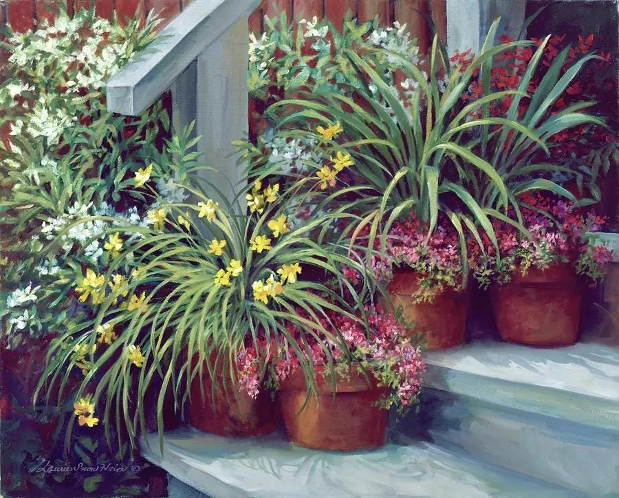 Key West Step Flower Garden