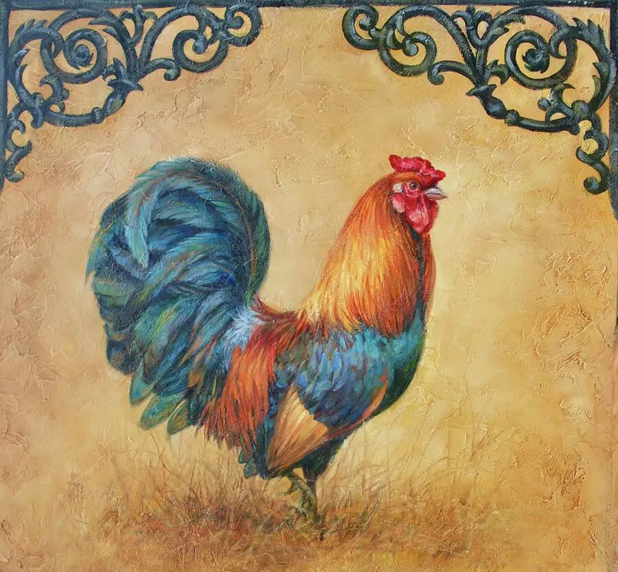 Fancy Pants, Chicken Rooster