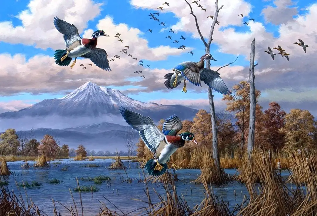 Colorful Wood Ducks and Mallards in Marsh