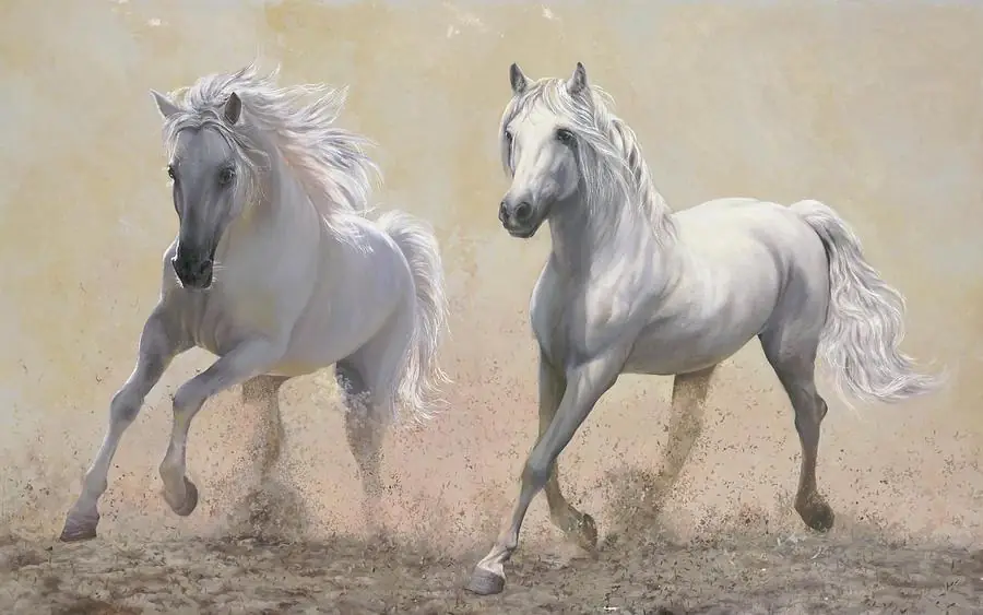 Two Wild Free White Horses