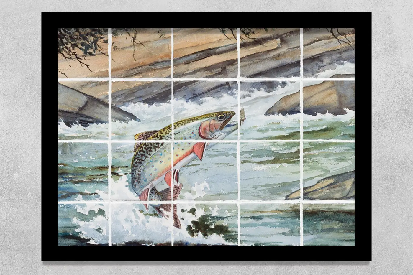 Brook Trout, Fly Fishing
