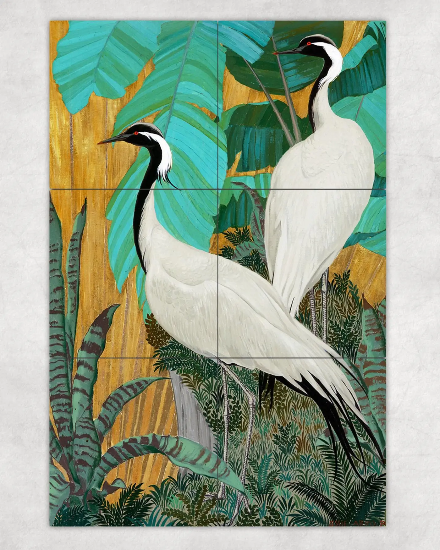 Demoiselle Cranes Birds in Exotic Plant Garden
