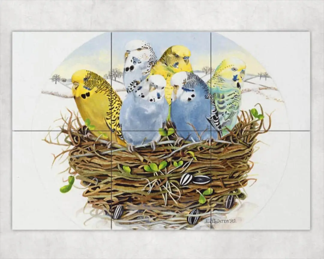 Budgerigars in a Nest Exotic Birds