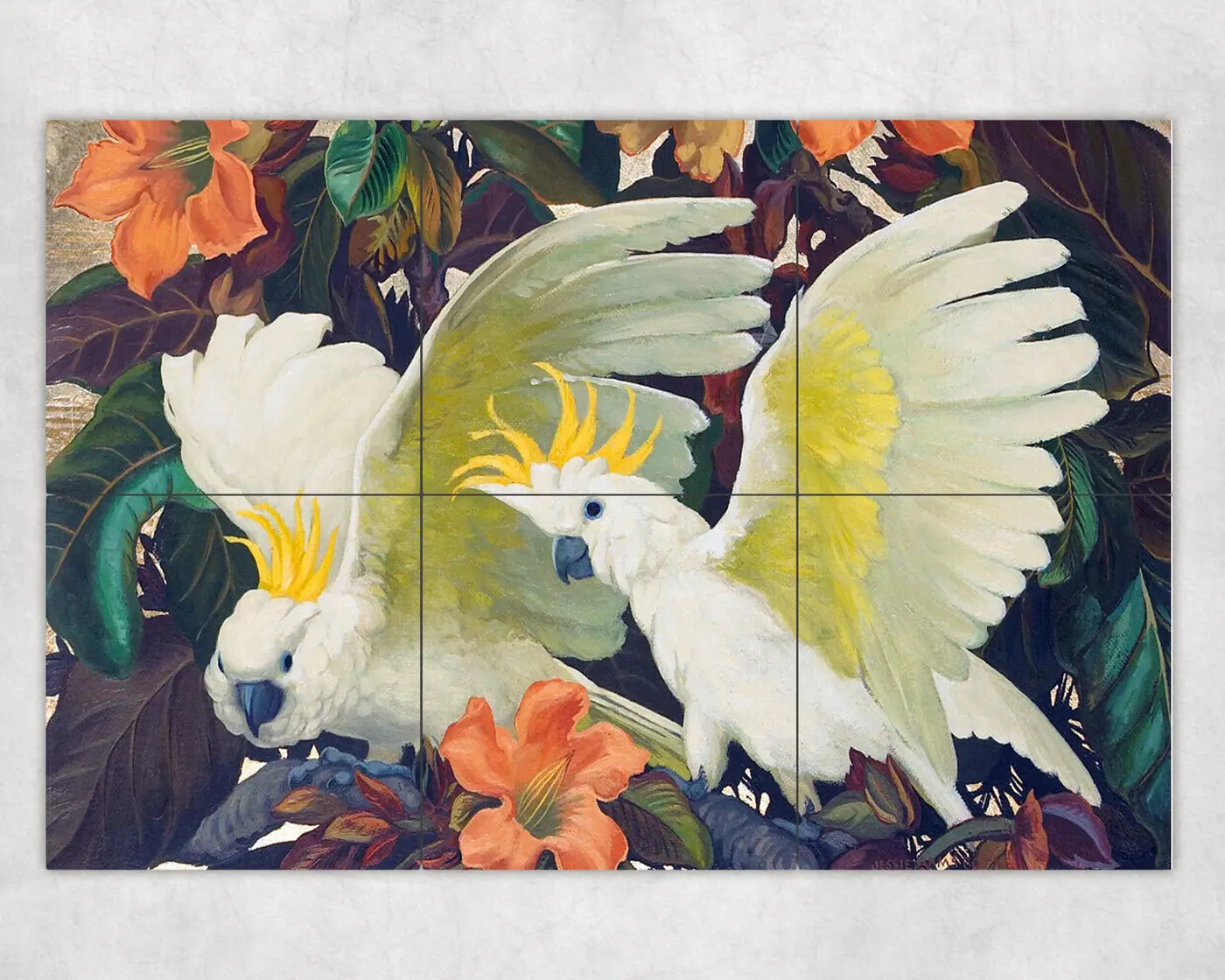 Sulphur Crested Cockatoos Parrots in Tropical Flower