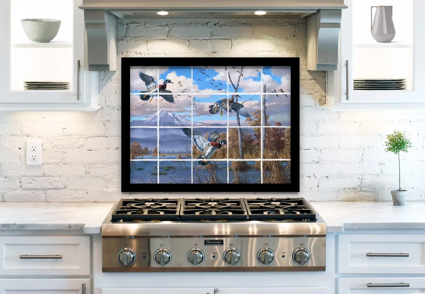 Colorful Wood Ducks and Mallards in Marsh installed