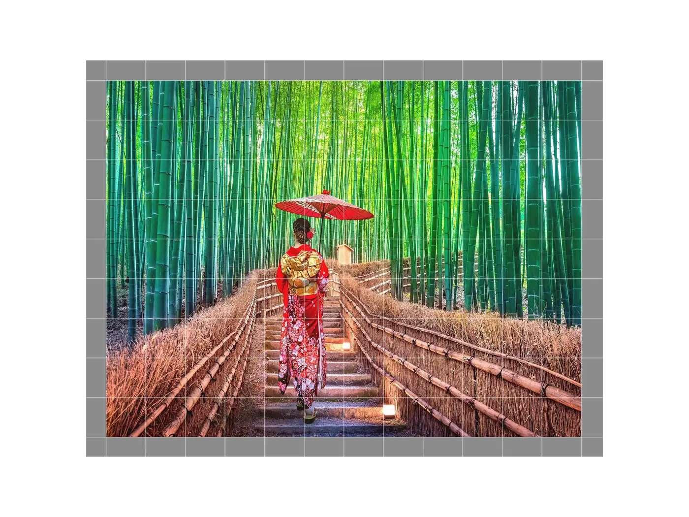 Bamboo Forest in Kyoto, Japan