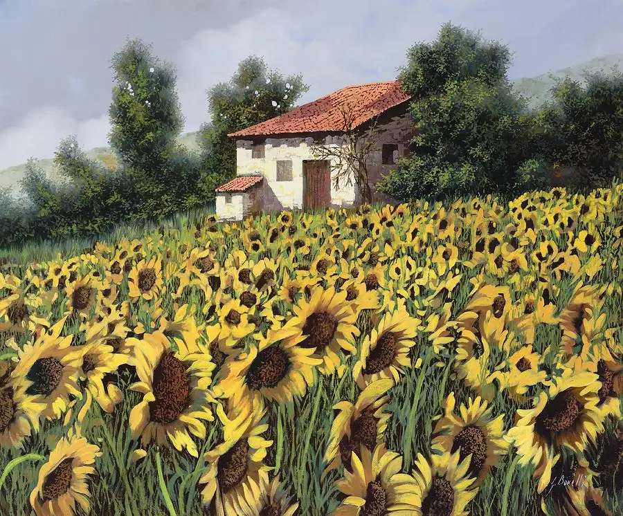 Sunflower Field Farm Tuscany Italy