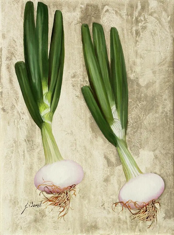 Two Spring Onions