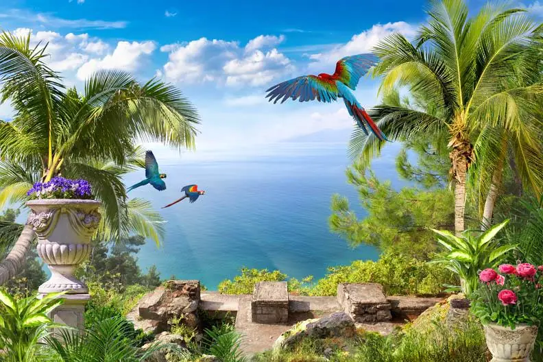 Tropical Landscape with Parrots Garden Ocean View