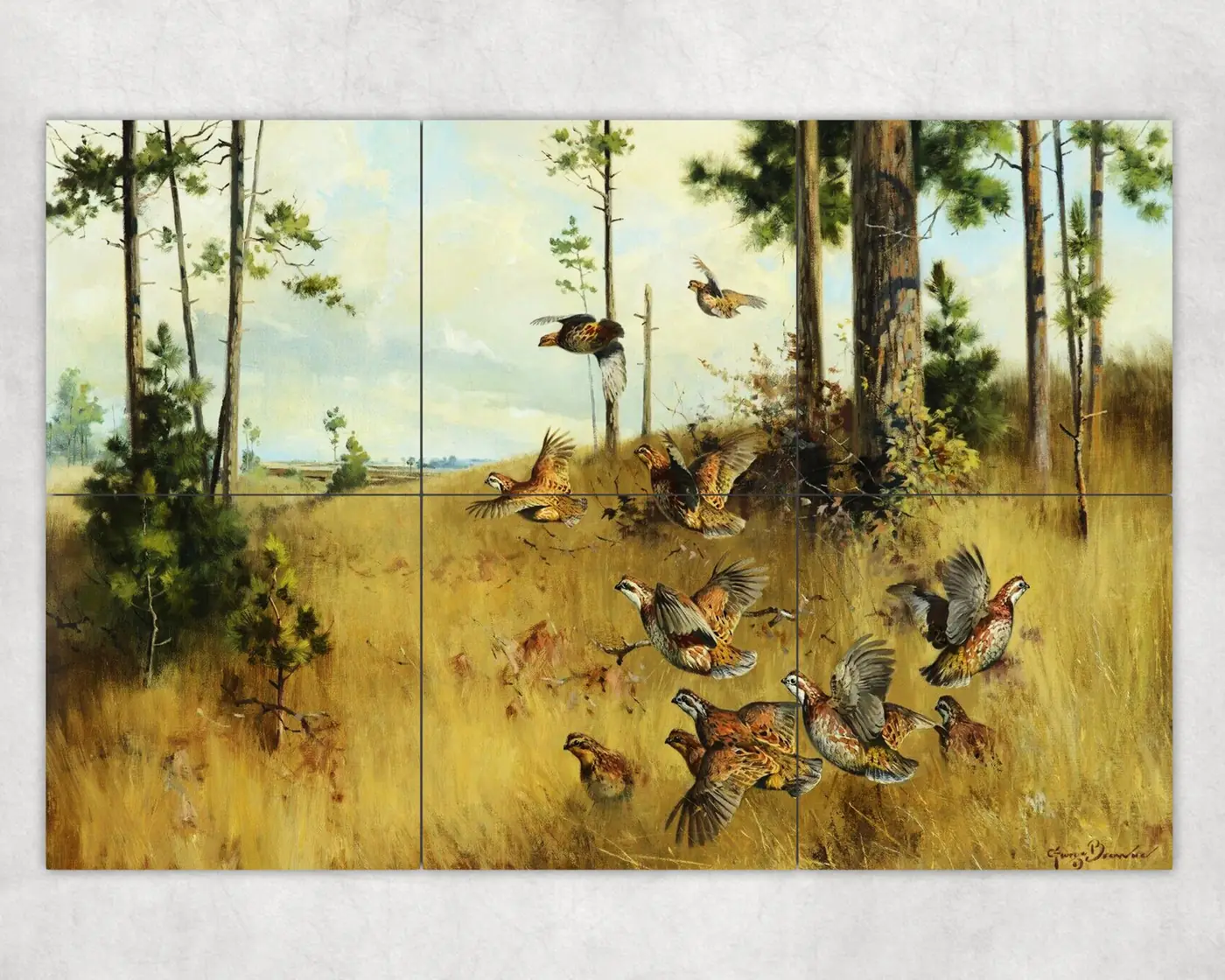 Quail Convey