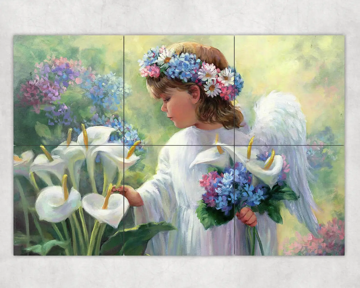 Hydrangea Angel in Garden