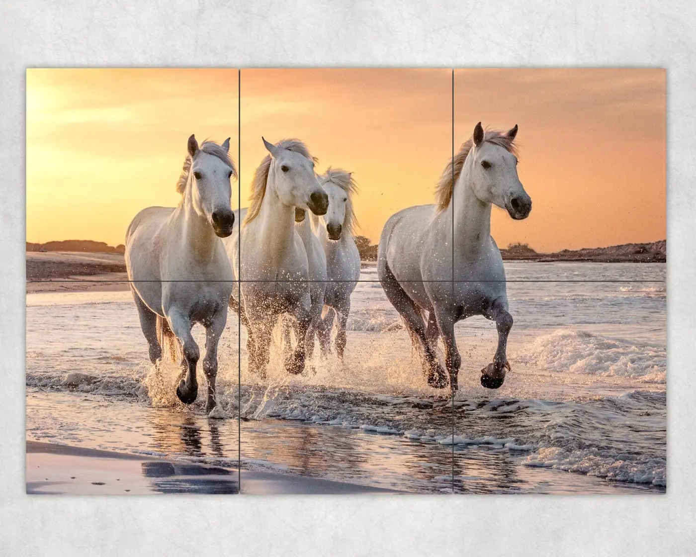 Camargue Horses Running in the Ocean South France