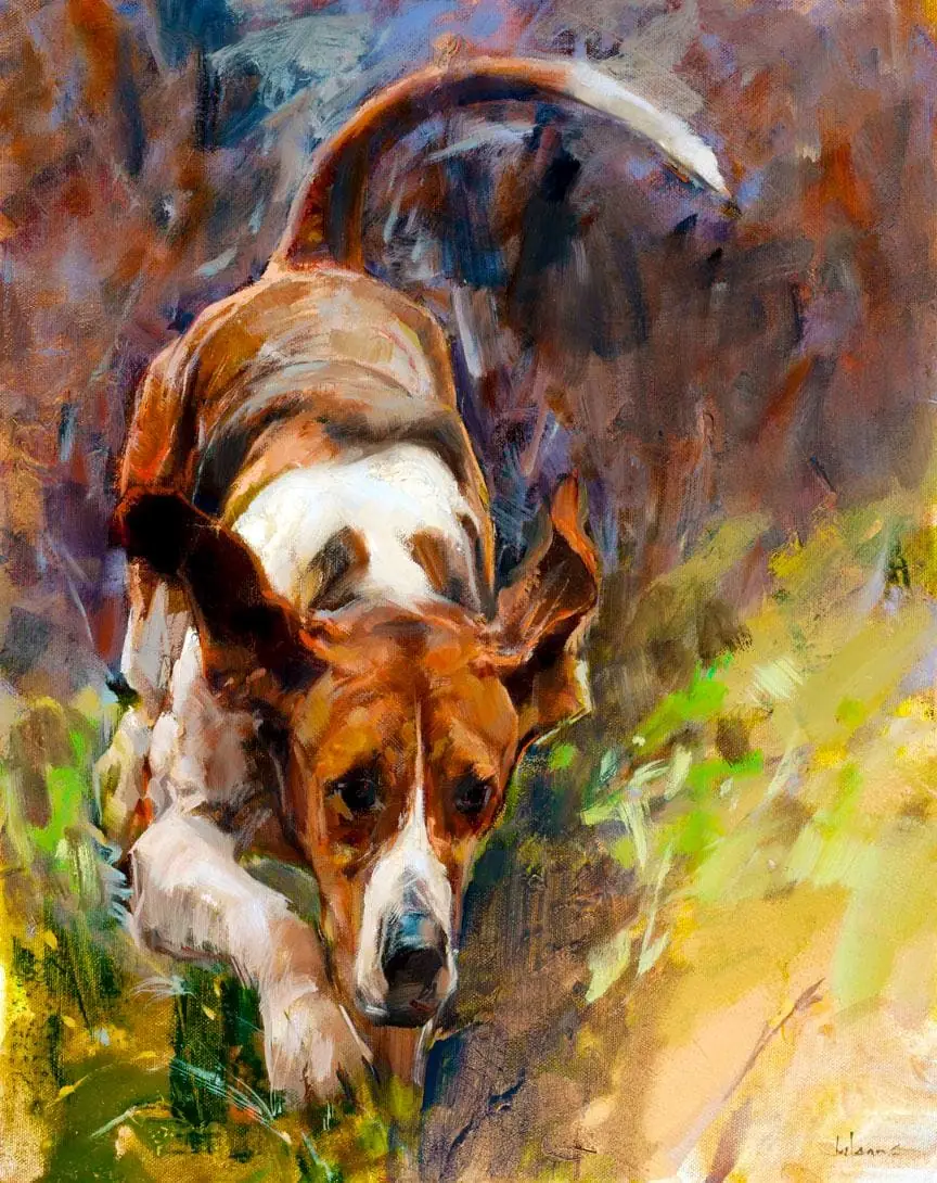 Hunting Dog Bloodhound