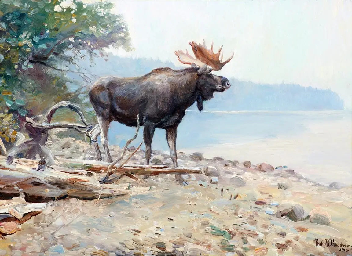 Moose at Lake McDonald by Goodwin Philip