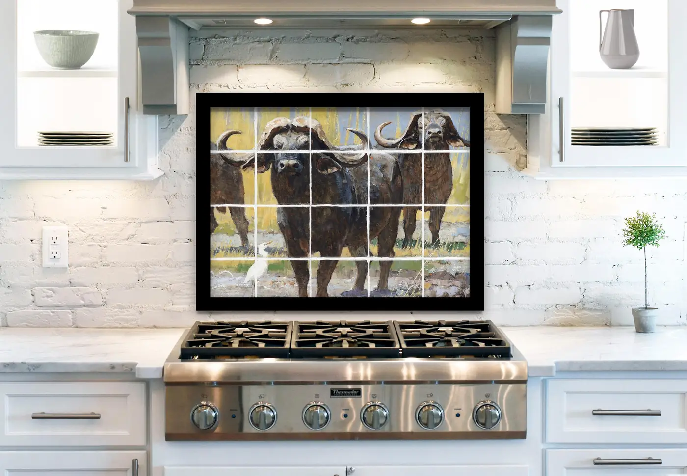 Cape Buffalo installed