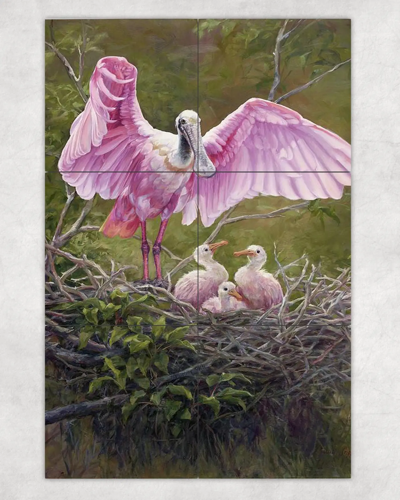 Under His Wings Roseate Spoonbill Pink Bird
