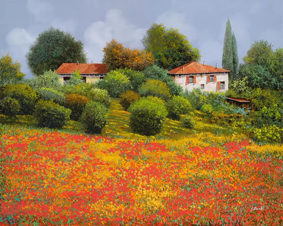 Poppy Flower Garden Field and Cypress Trees Summer