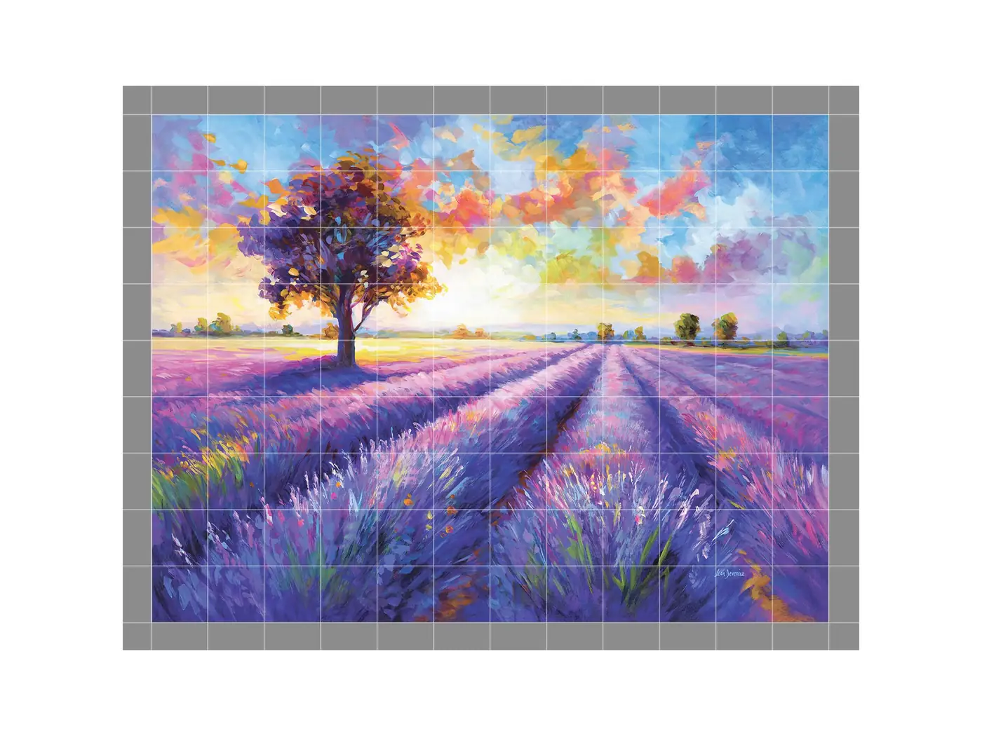 Colorful Lavender Field Landscape