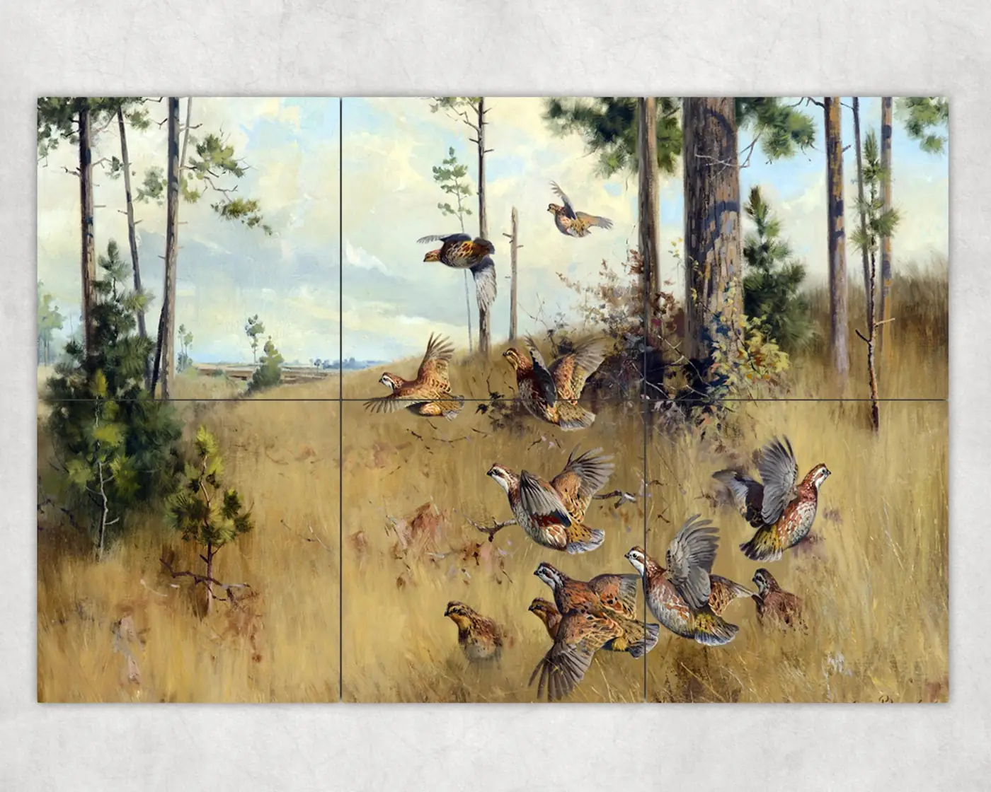 Under the Pines Quail