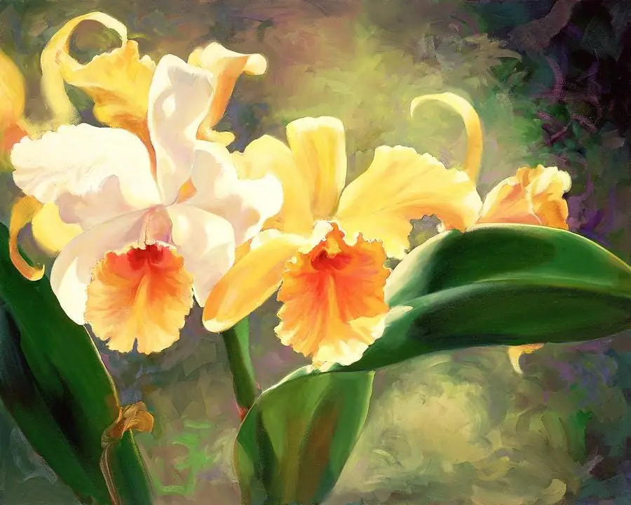 Hebel Yellow Orchids Flower Garden