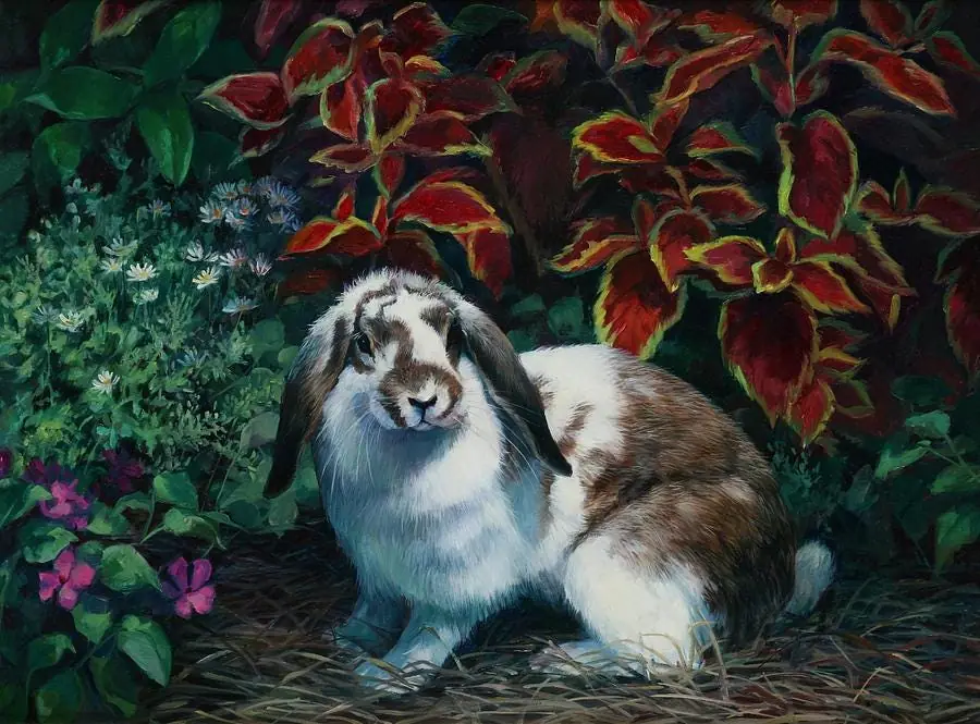 Floppy Ears, Rabbit in Flower Garden