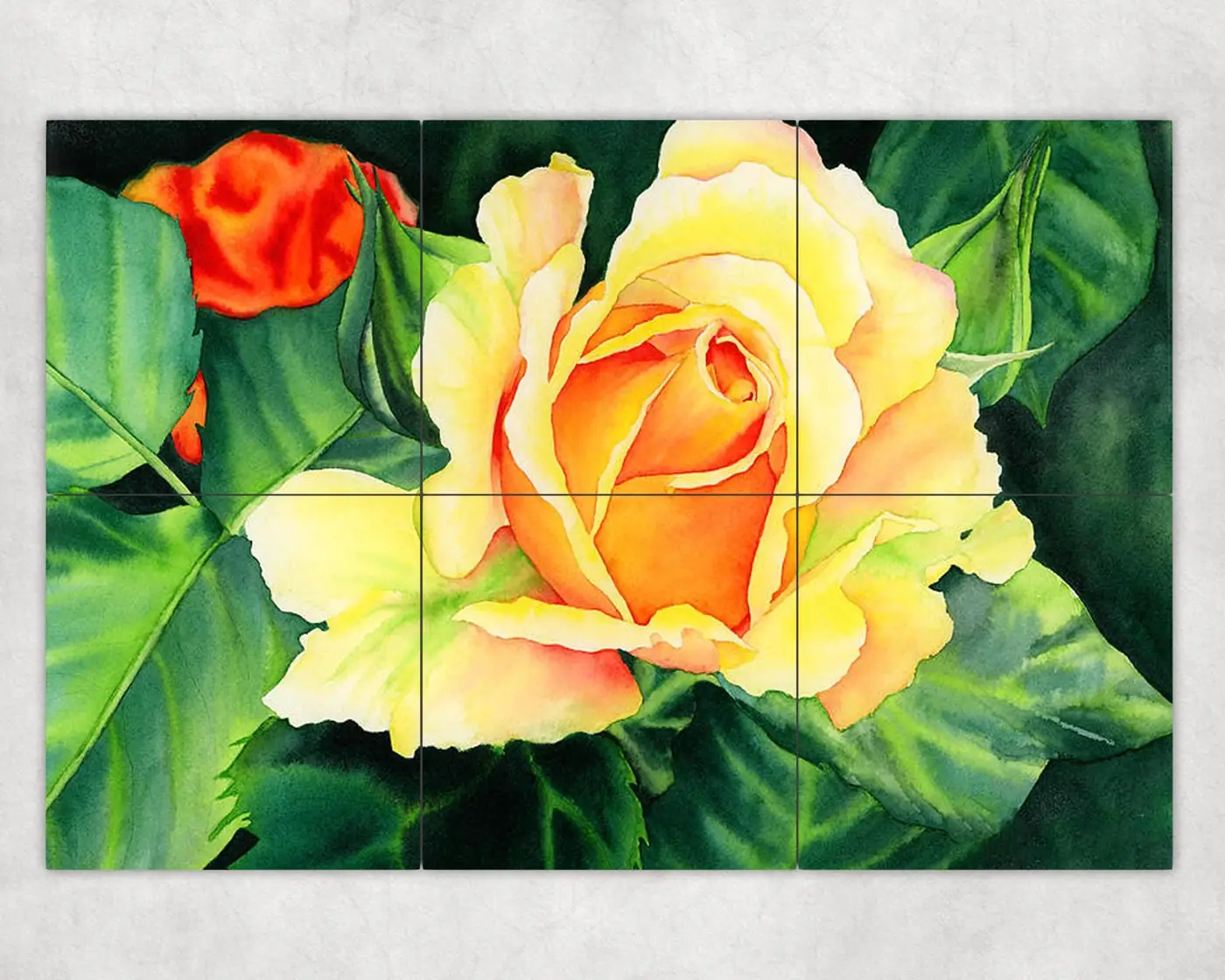 Yellow Roses in Flower Garden