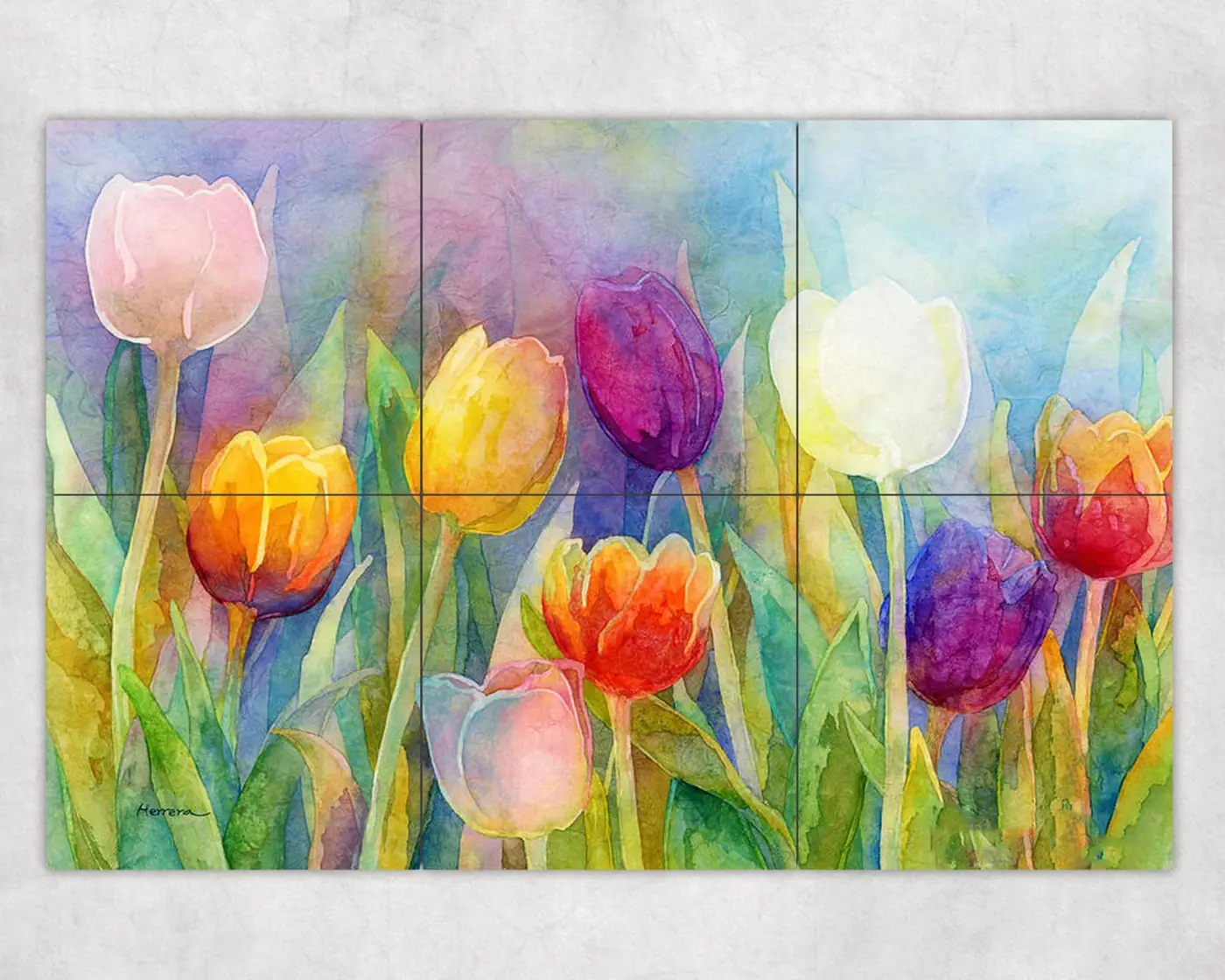 Fresh Tulips Flower Garden
