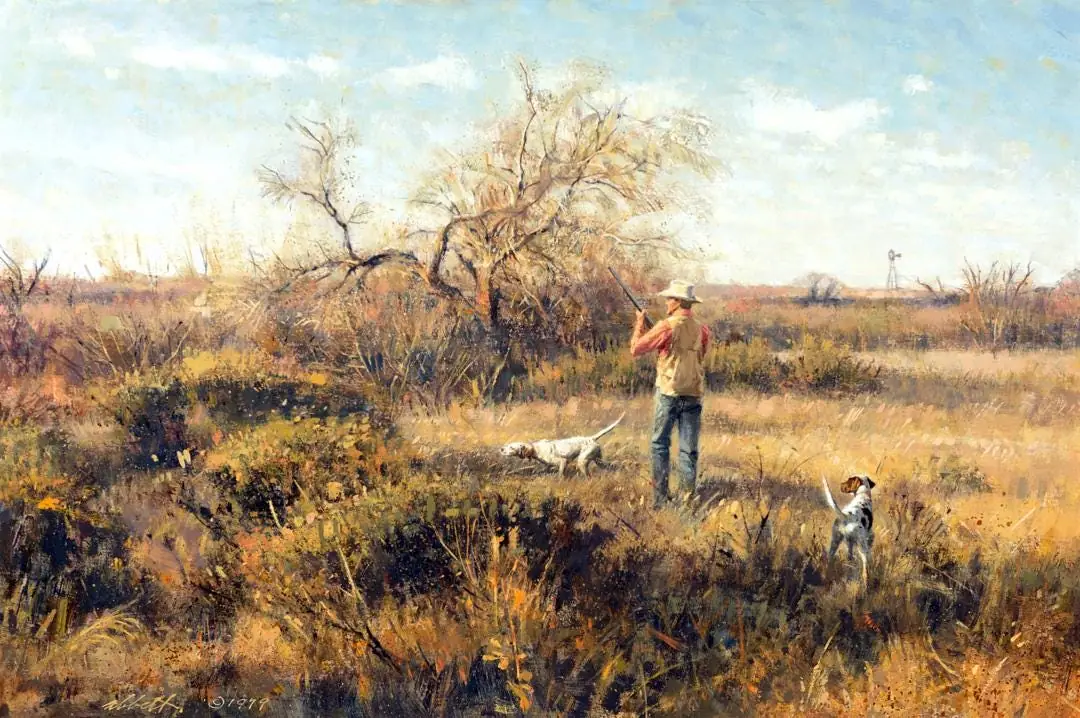 Hunter Hunting and Bird Dogs