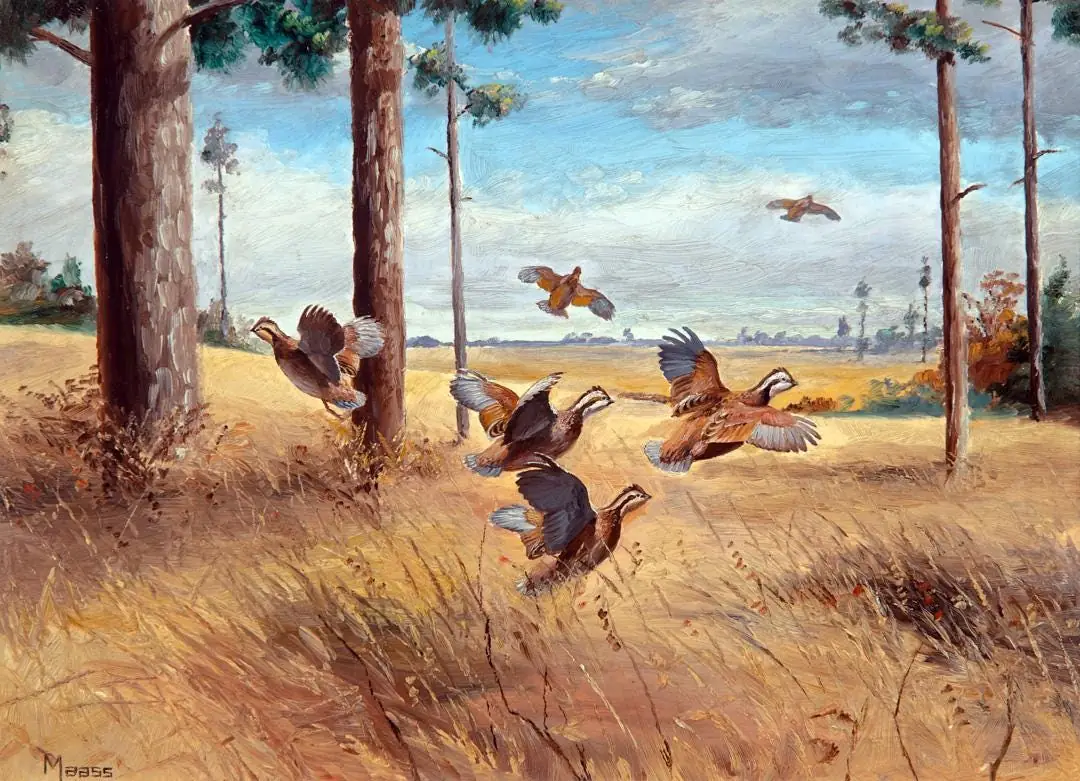 Georgia Quail, Wildlife, Country Western