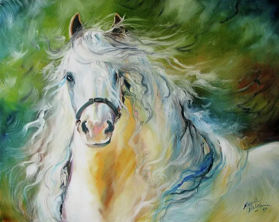 White Cloud the Andalusian Stallion Horse