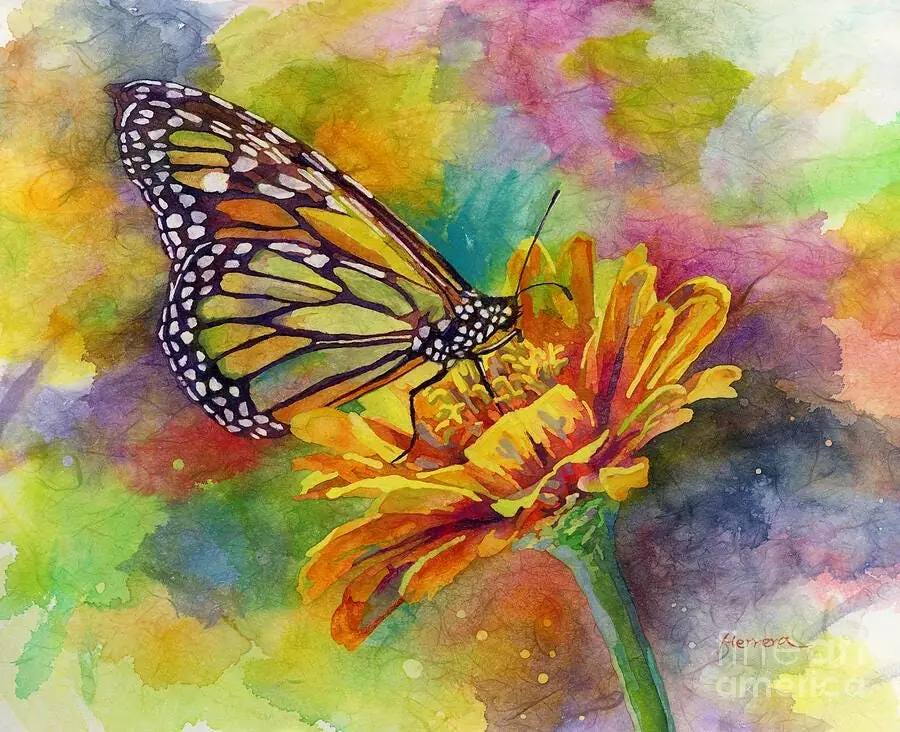Butterfly Flower Garden Kiss