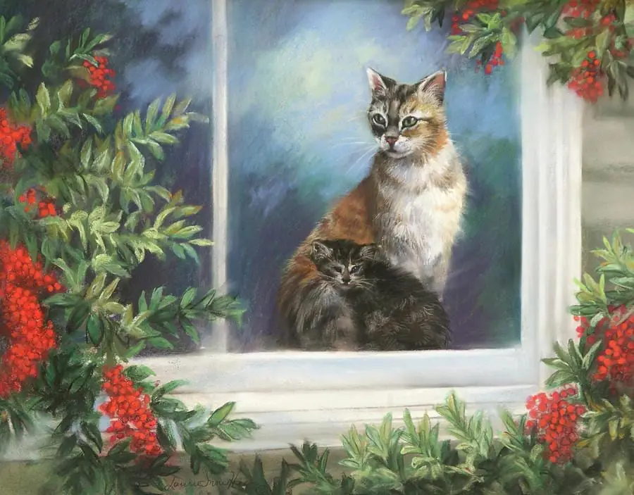 Christmas Cat Kitten Through Window View