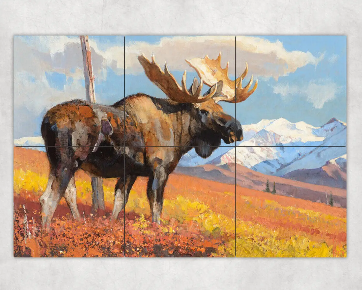 Majestic Moose in Woodland