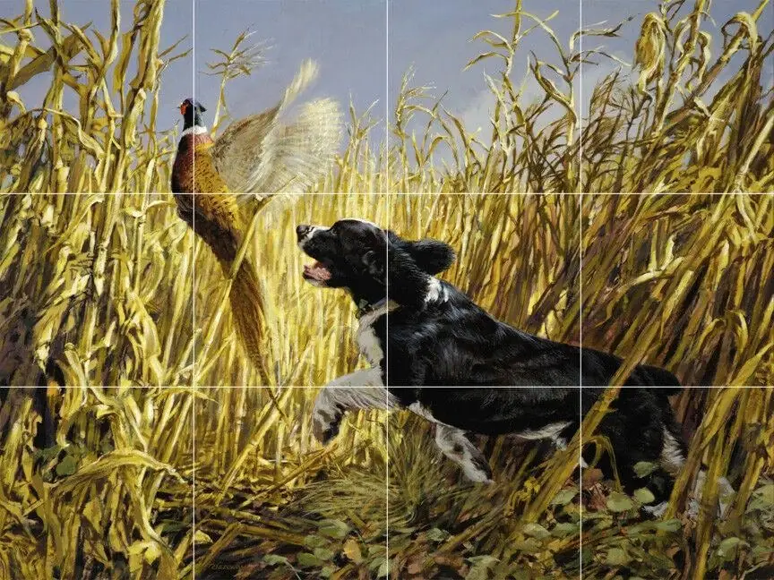 Spaniel Dog Pheasant Hunting Bird