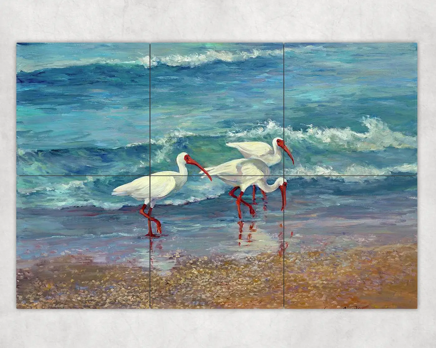 Ibis Birds Trio on the Ocean Beach Crashing Waves