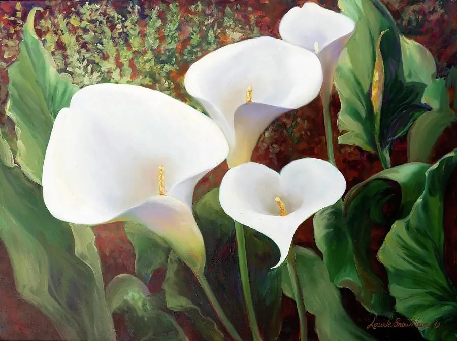 Cali Lilies Flower Garden