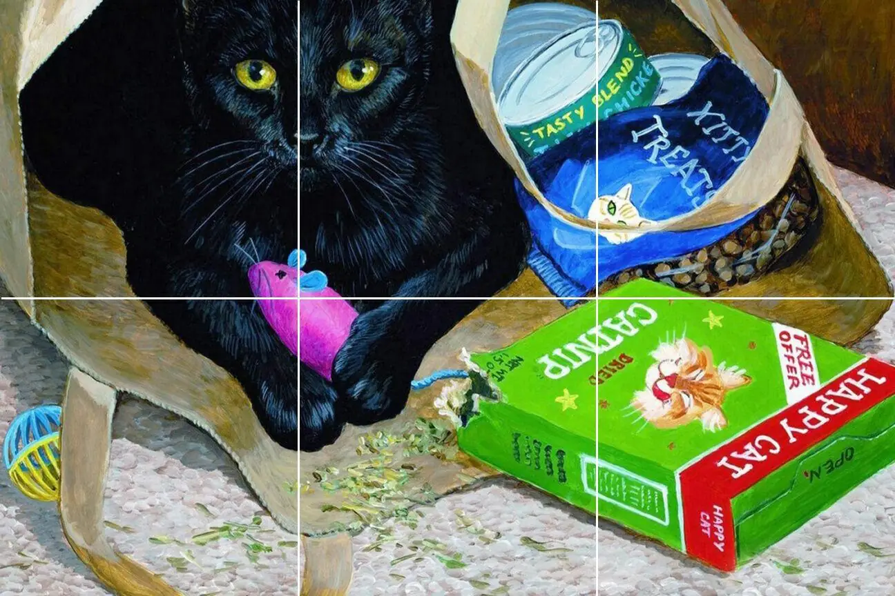 Black Cat Kitten Toys Treats Food Catnip