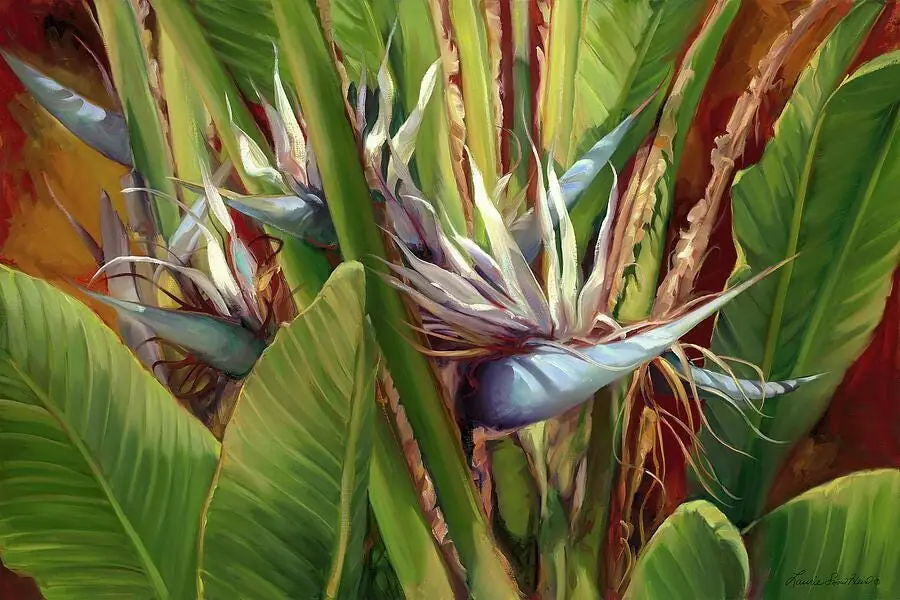 Nesting Birds