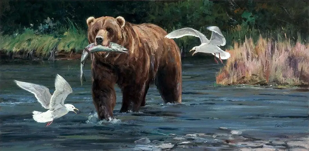 Fishing Grizzly Bear
