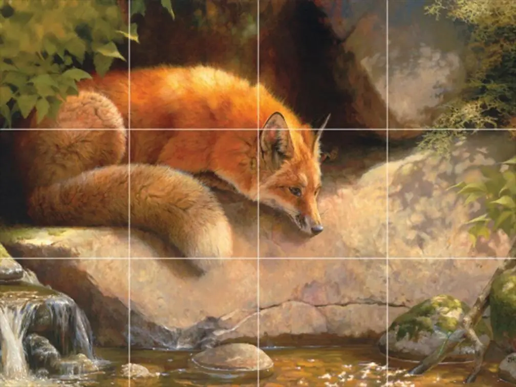 Red Fox in Pond Garden Woodland