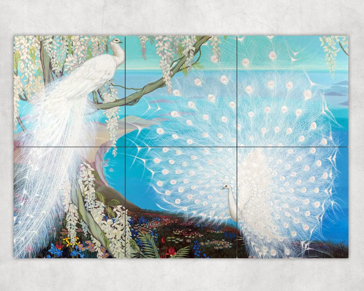 Exotic White Peacock Birds in Wisteria Garden Jessie