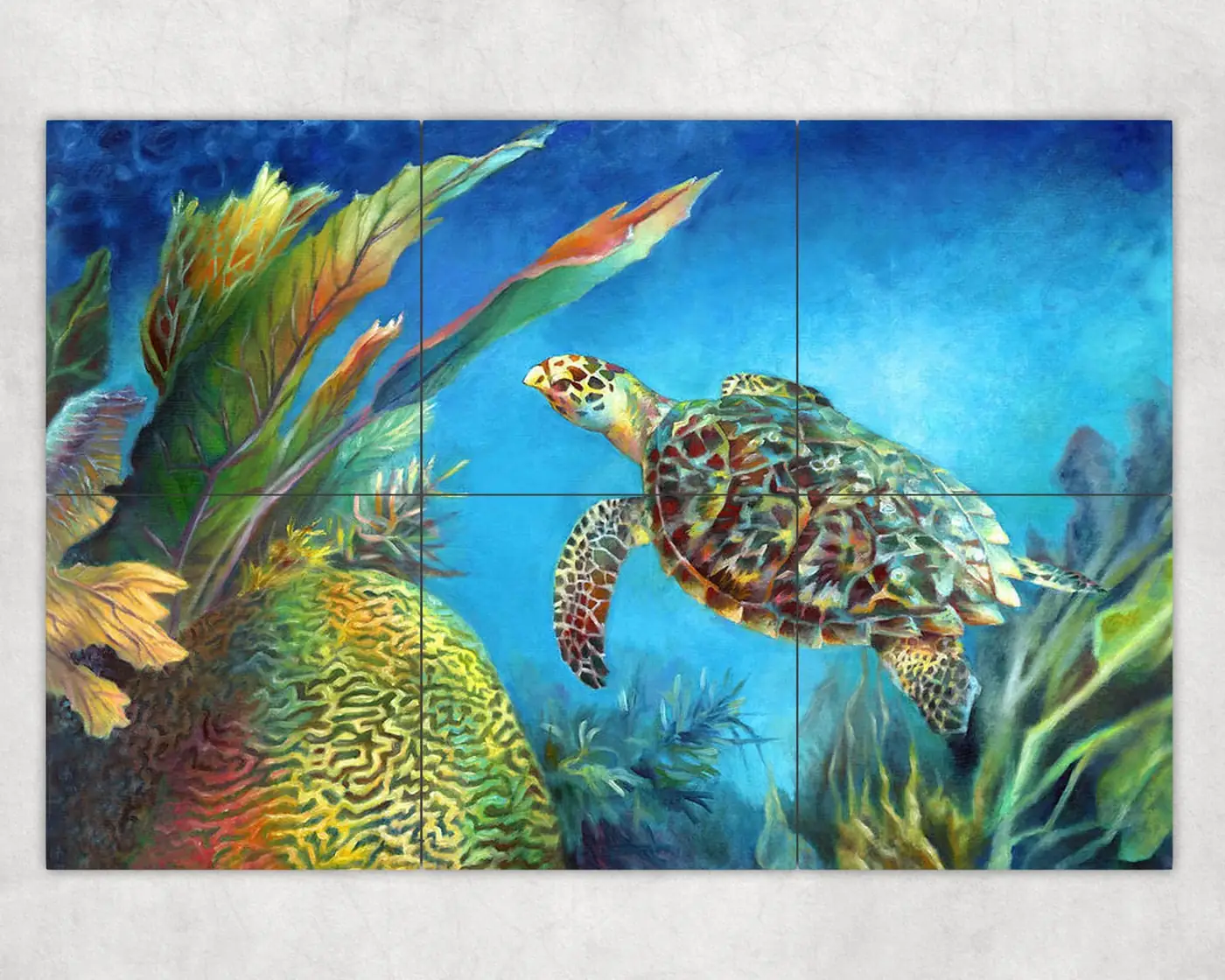 HAWKSBILL Sea Turtle in Reef