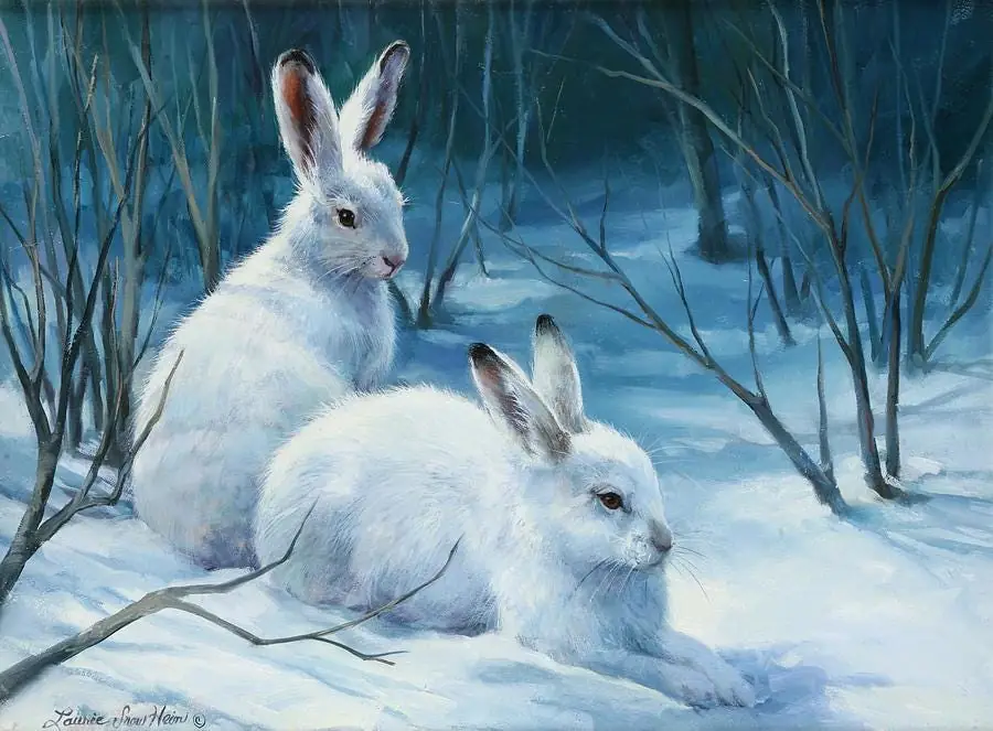Snow Bunnies
