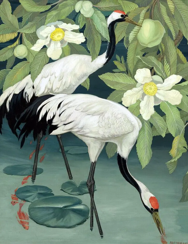 Sacred Cranes in a Tropical River