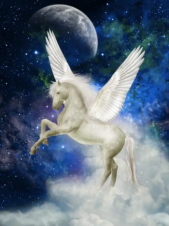 Astronaut Pegasus in Outer Space