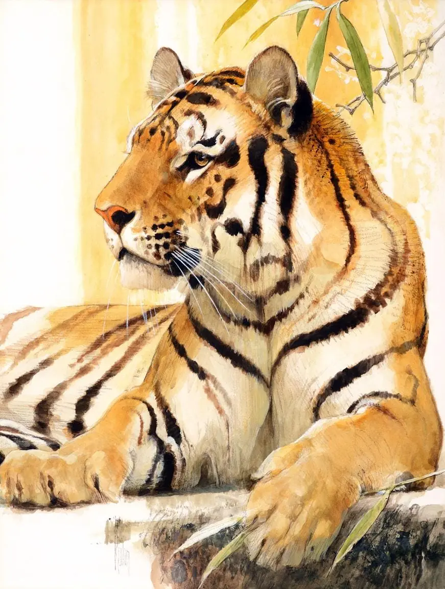 Tiger, Wildlife, Country Western