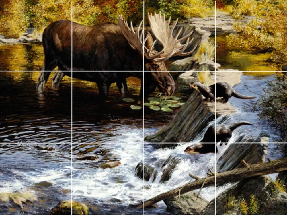 Moose and a Otter in a Stream in Nature