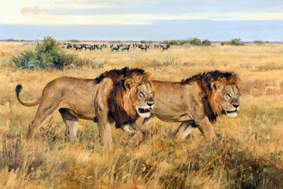 The Rogues, Two Lions in the Jungle