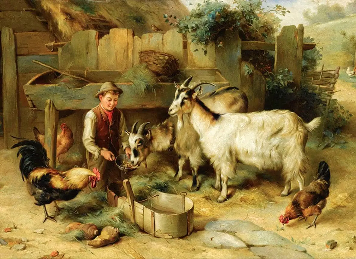 Farm Boy Feeding Farm Animals